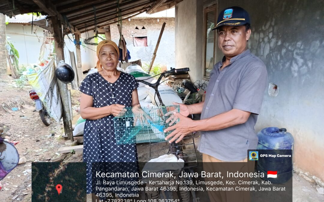 Pemasangan Perangkap Tikus